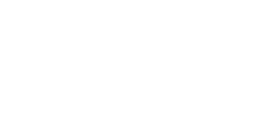 Slappy's Express Car Wash Logo